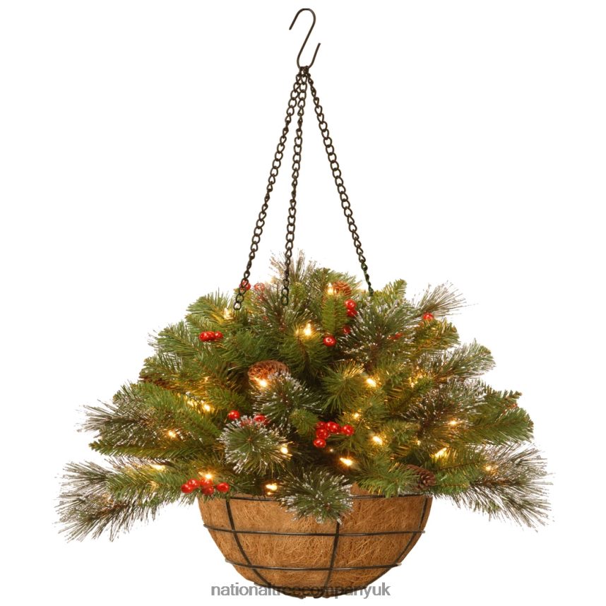 Greenery | National Tree Company Pre-Lit Artificial Christmas Hanging Basket Crestwood Spruce Decorated With Frosted Pine Cones Berry Clusters White Lights Christmas Collection 16 Inches F2L4F46
